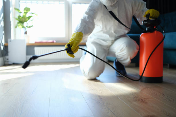 Trusted Trauma Scene Cleanup service in Ferndale, MD - Four Month Blood Cleanse